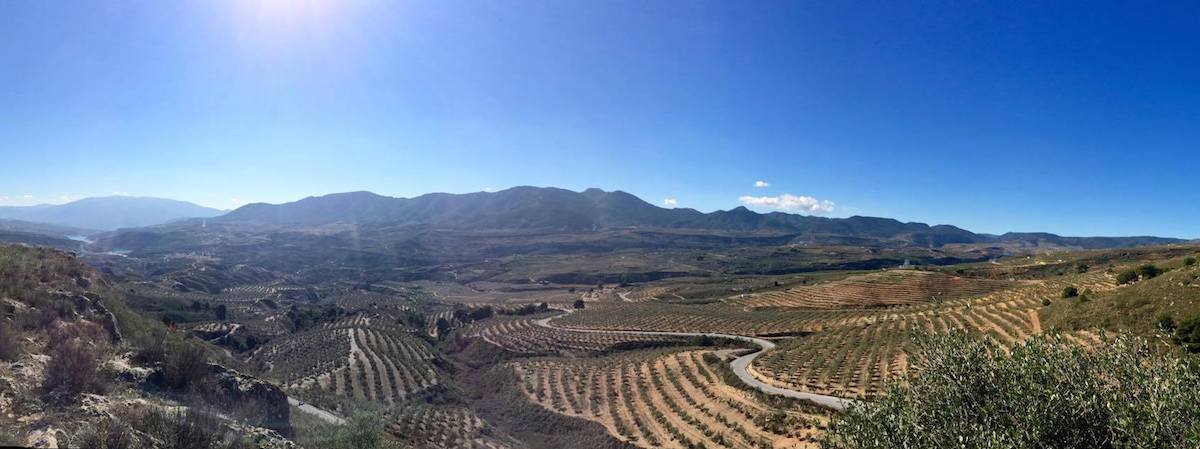 Vista del Valle de Lecrín